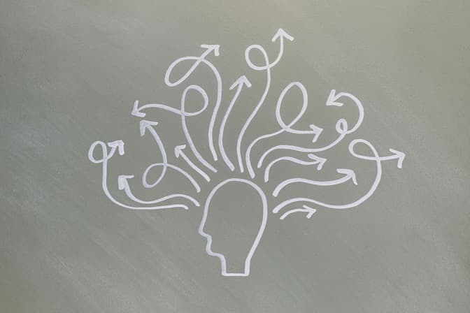 Entropy in Wealth Portfolios: When Complexity Works Against You