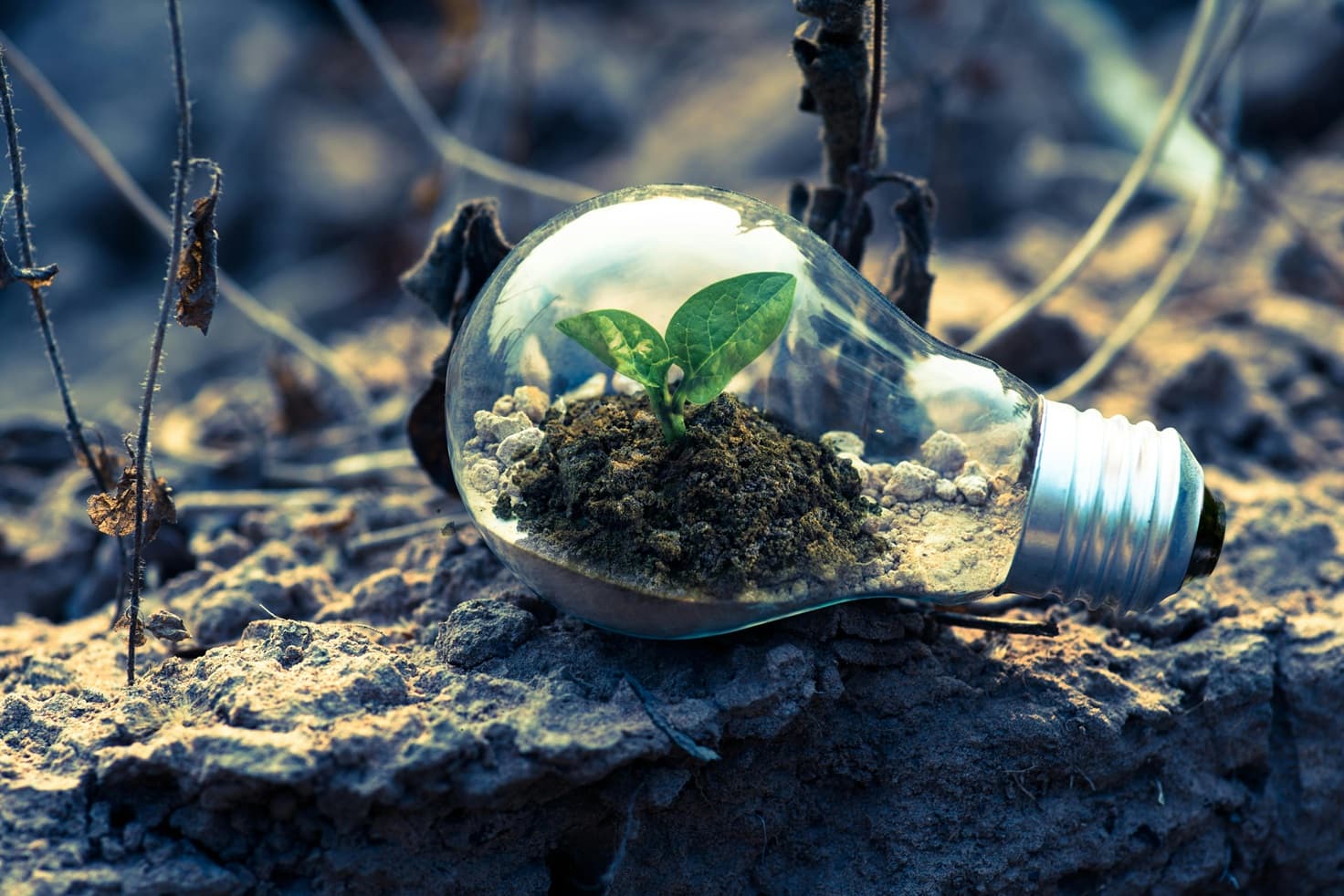 ESG Investing: Performance, Risk, and Long-Term Returns
