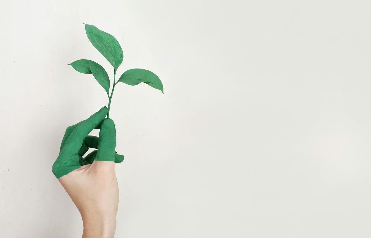 ESG Investing: How Wealth Managers Can Move Beyond Compliance to Real Impact