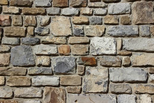 Portfolio Fossils: The Long-Term Cost of Forgotten Positions