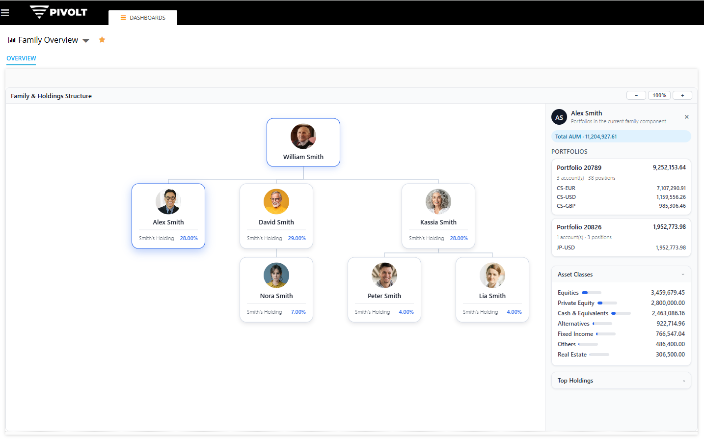 Overview of Pivolt Family & Holdings Structure graph